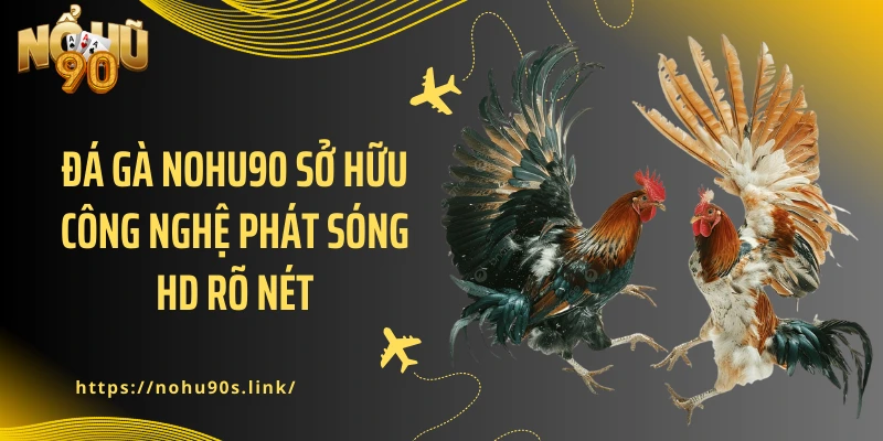 Đá Gà NOHU90 sở hữu công nghệ phát sóng HD rõ nét