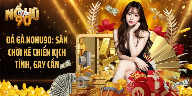 Đá gà Nohu90